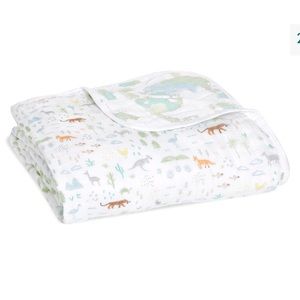 Aden and Anais cotton quilt